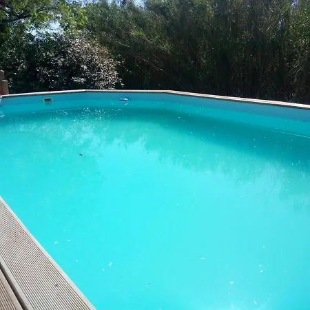 Olive View * Puissalicon