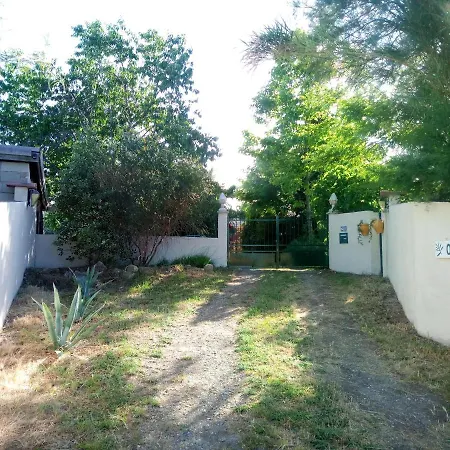 Olive View Puissalicon