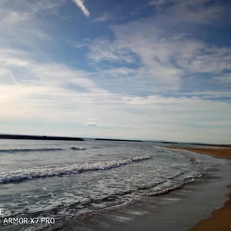 Olive View * Puissalicon