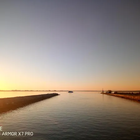 Olive View Puissalicon