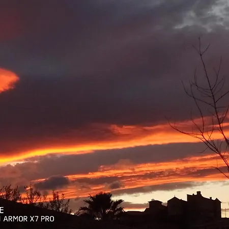 Olive View * Puissalicon