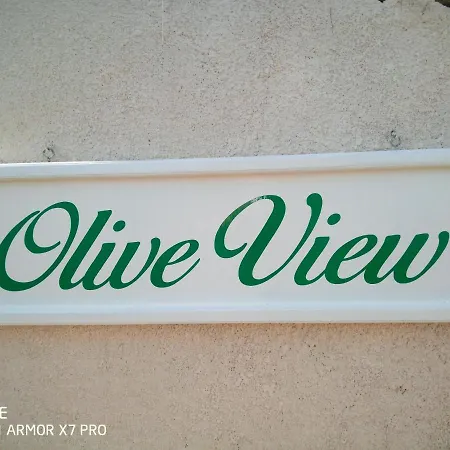Olive View 別荘 *