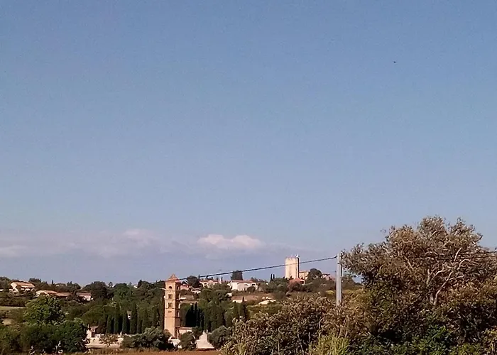 Olive View * Puissalicon