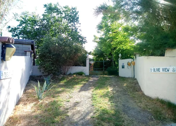 Olive View Puissalicon