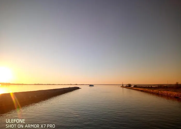 Olive View Puissalicon