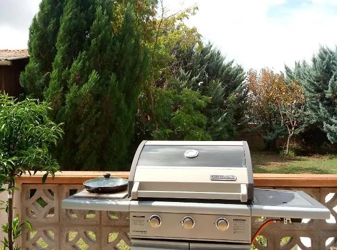 Tatil Evi Olive View Puissalicon