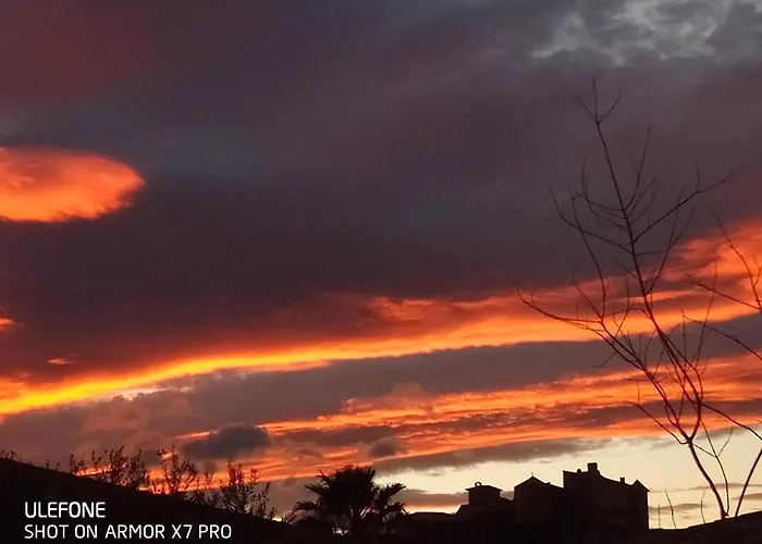 Olive View * Puissalicon