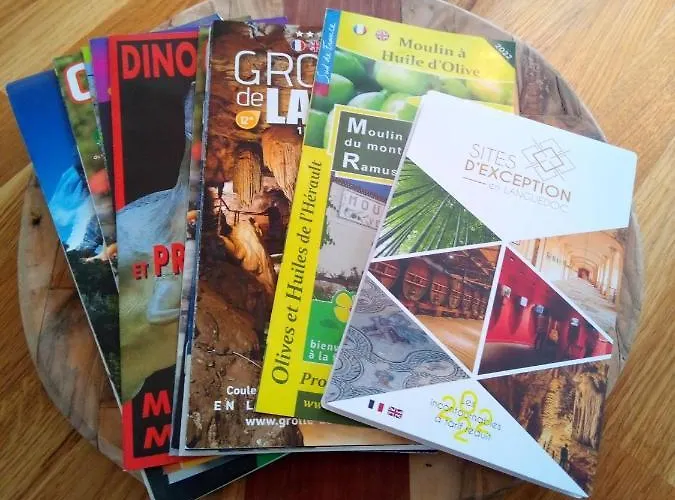 Olive View Tatil Evi *