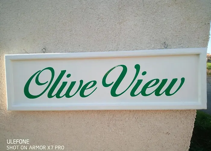 Olive View Tatil Evi *